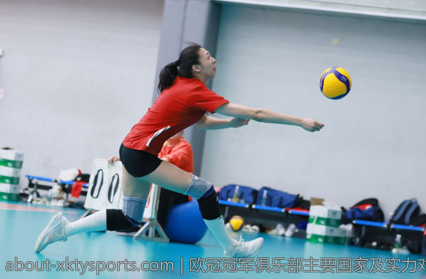 欧冠冠军俱乐部主要国家及实力对比分析